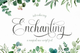 Elevate Your Designs with Enchanting Script Fonts